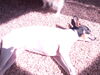 Filename=20180819_001.jpg
Filesize=456KiB
Dimensions=2048x1536
Date added=Jan 22, 2019 20180819_001.jpg