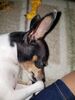 Filename=20180819_003.jpg
Filesize=501KiB
Dimensions=1536x2048
Date added=Jan 22, 2019 20180819_003.jpg