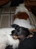 Filename=20180828_001.jpg
Filesize=471KiB
Dimensions=1536x2048
Date added=Jan 22, 2019 20180828_001.jpg