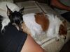 Filename=20180828_002.jpg
Filesize=523KiB
Dimensions=2048x1536
Date added=Jan 22, 2019 20180828_002.jpg