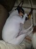 Filename=20180829_001.jpg
Filesize=457KiB
Dimensions=1536x2048
Date added=Jan 22, 2019 20180829_001.jpg