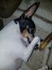 Filename=20180829_003.jpg
Filesize=481KiB
Dimensions=1536x2048
Date added=Jan 22, 2019 20180829_003.jpg