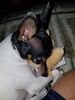 Filename=20180910_001.jpg
Filesize=394KiB
Dimensions=1536x2048
Date added=Jan 22, 2019 20180910_001.jpg