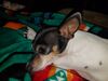 Filename=20180912_004.jpg
Filesize=376KiB
Dimensions=2048x1536
Date added=Jan 22, 2019 20180912_004.jpg