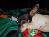 Filename=20180912_006.jpg
Filesize=412KiB
Dimensions=2048x1536
Date added=Jan 22, 2019 20180912_006.jpg