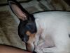 Filename=20180914_002.jpg
Filesize=447KiB
Dimensions=2048x1536
Date added=Jan 22, 2019 20180914_002.jpg