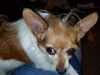 Filename=20180914_003.jpg
Filesize=526KiB
Dimensions=2048x1536
Date added=Jan 22, 2019 20180914_003.jpg