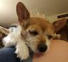 Filename=20180914_005.jpg
Filesize=1297KiB
Dimensions=1849x1675
Date added=Jan 22, 2019 20180914_005.jpg