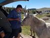 Filename=20180915_005.jpg
Filesize=525KiB
Dimensions=2048x1536
Date added=Jan 22, 2019 20180915_005.jpg