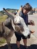 Filename=20180915_007.jpg
Filesize=737KiB
Dimensions=1536x2048
Date added=Jan 22, 2019 20180915_007.jpg