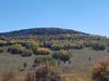 Filename=20180915_024.jpg
Filesize=555KiB
Dimensions=2048x1536
Date added=Jan 22, 2019 20180915_024.jpg