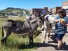 Filename=20180915_035.jpg
Filesize=770KiB
Dimensions=2047x1535
Date added=Jan 22, 2019 20180915_035.jpg