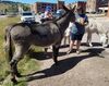 Filename=20180915_036.jpg
Filesize=890KiB
Dimensions=2047x1618
Date added=Jan 22, 2019 20180915_036.jpg