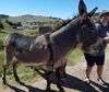 Filename=20180915_038.jpg
Filesize=800KiB
Dimensions=2048x1722
Date added=Jan 22, 2019 20180915_038.jpg