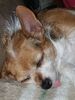 Filename=20180918_003.jpg
Filesize=560KiB
Dimensions=1536x2048
Date added=Jan 22, 2019 20180918_003.jpg