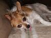 Filename=20180918_004.jpg
Filesize=453KiB
Dimensions=2048x1536
Date added=Jan 22, 2019 20180918_004.jpg