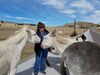 Filename=20181007_019.jpg
Filesize=512KiB
Dimensions=2048x1536
Date added=Feb 08, 2019 20181007_019.jpg