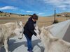 Filename=20181007_024.jpg
Filesize=446KiB
Dimensions=2048x1536
Date added=Feb 08, 2019 20181007_024.jpg