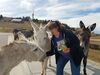 Filename=20181007_025.jpg
Filesize=444KiB
Dimensions=2048x1536
Date added=Feb 08, 2019 20181007_025.jpg