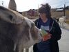 Filename=20181007_026.jpg
Filesize=392KiB
Dimensions=2048x1536
Date added=Feb 08, 2019 20181007_026.jpg
