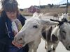 Filename=20181007_029.jpg
Filesize=501KiB
Dimensions=2048x1536
Date added=Feb 08, 2019 20181007_029.jpg