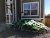 Filename=20181021_003.jpg
Filesize=565KiB
Dimensions=2048x1536
Date added=Feb 11, 2019 20181021_003.jpg