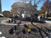 Filename=20181021_005.jpg
Filesize=1016KiB
Dimensions=2048x1536
Date added=Feb 11, 2019 20181021_005.jpg