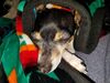 Filename=20181023_003.jpg
Filesize=690KiB
Dimensions=2048x1536
Date added=Feb 11, 2019 20181023_003.jpg