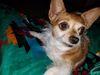Filename=20181023_004.jpg
Filesize=489KiB
Dimensions=2048x1536
Date added=Feb 11, 2019 20181023_004.jpg