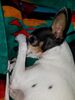 Filename=20181025_003.jpg
Filesize=482KiB
Dimensions=1536x2048
Date added=Feb 11, 2019 20181025_003.jpg