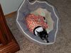 Filename=20181025_007.jpg
Filesize=541KiB
Dimensions=2048x1536
Date added=Feb 11, 2019 20181025_007.jpg