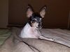 Filename=20181028_001.jpg
Filesize=422KiB
Dimensions=2048x1536
Date added=Feb 11, 2019 20181028_001.jpg