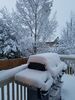 Filename=20181031_002.jpg
Filesize=722KiB
Dimensions=1536x2048
Date added=Feb 11, 2019 20181031_002.jpg