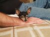Filename=20181031_004.jpg
Filesize=453KiB
Dimensions=2048x1536
Date added=Feb 11, 2019 20181031_004.jpg