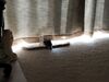 Filename=20181107_001.jpg
Filesize=486KiB
Dimensions=2048x1536
Date added=Feb 24, 2019 20181107_001.jpg
