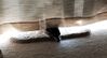 Filename=20181107_002.jpg
Filesize=280KiB
Dimensions=2046x1113
Date added=Feb 24, 2019 20181107_002.jpg