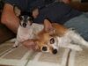 Filename=20181114_001.jpg
Filesize=441KiB
Dimensions=2048x1536
Date added=Feb 24, 2019 20181114_001.jpg
