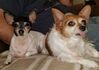 Filename=20181114_002.jpg
Filesize=405KiB
Dimensions=2048x1449
Date added=Feb 24, 2019 20181114_002.jpg