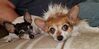 Filename=20181114_003.jpg
Filesize=325KiB
Dimensions=2047x1014
Date added=Feb 24, 2019 20181114_003.jpg