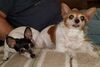 Filename=20181114_004.jpg
Filesize=402KiB
Dimensions=2047x1375
Date added=Feb 24, 2019 20181114_004.jpg