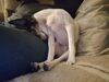 Filename=20181118_003.jpg
Filesize=189KiB
Dimensions=2048x1536
Date added=Feb 24, 2019 20181118_003.jpg