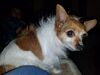 Filename=20181118_004.jpg
Filesize=479KiB
Dimensions=2048x1536
Date added=Feb 24, 2019 20181118_004.jpg