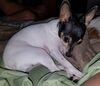 Filename=20181215_001.jpg
Filesize=545KiB
Dimensions=2047x1768
Date added=Feb 24, 2019 20181215_001.jpg