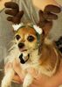 Filename=20181215_003.jpg
Filesize=359KiB
Dimensions=1468x2048
Date added=Feb 24, 2019 20181215_003.jpg