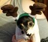 Filename=20181215_005.jpg
Filesize=379KiB
Dimensions=2048x1772
Date added=Feb 24, 2019 20181215_005.jpg