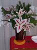 Filename=20181215_006.jpg
Filesize=472KiB
Dimensions=1536x2048
Date added=Feb 24, 2019 20181215_006.jpg