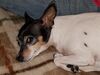Filename=20181216_002.jpg
Filesize=513KiB
Dimensions=2048x1536
Date added=Feb 24, 2019 20181216_002.jpg