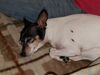 Filename=20181216_003.jpg
Filesize=490KiB
Dimensions=2048x1536
Date added=Feb 24, 2019 20181216_003.jpg