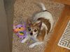 Filename=20181216_005.jpg
Filesize=485KiB
Dimensions=2048x1536
Date added=Feb 24, 2019 20181216_005.jpg