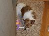 Filename=20181216_006.jpg
Filesize=456KiB
Dimensions=2048x1536
Date added=Feb 24, 2019 20181216_006.jpg